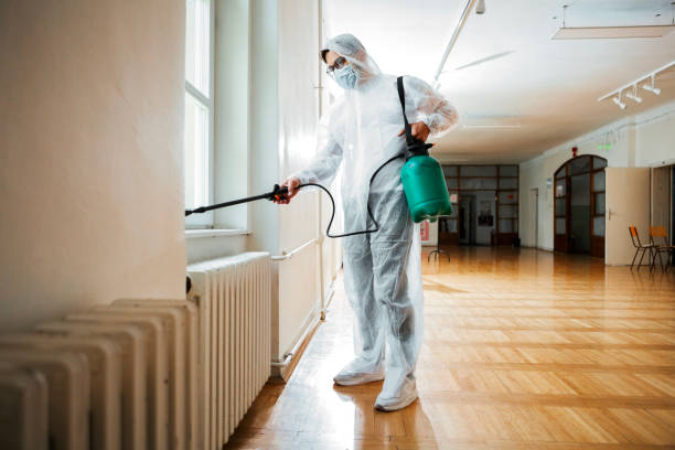 Best Emergency Pest Control  in Absecon, NJ